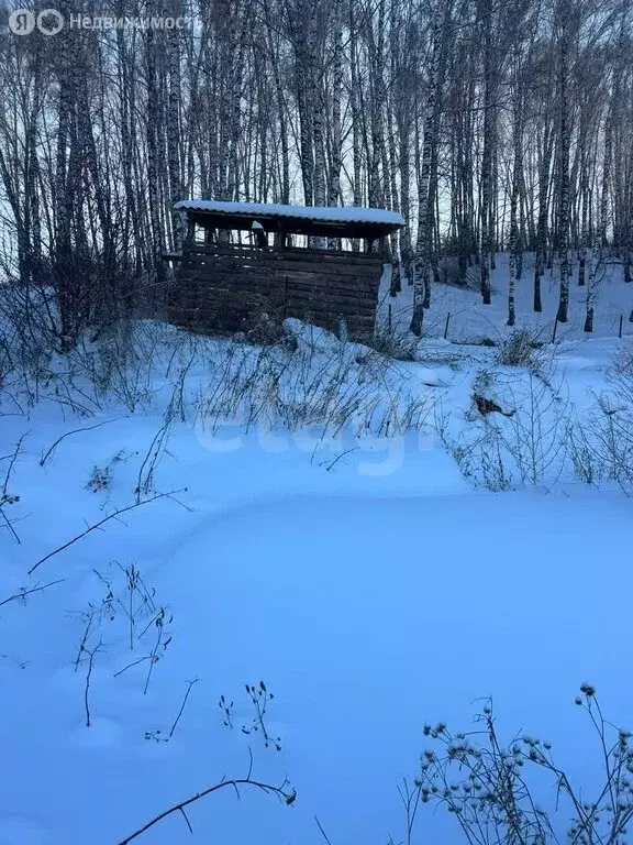 Участок в село Майма, Берёзовая улица (15.91 м) - Фото 1