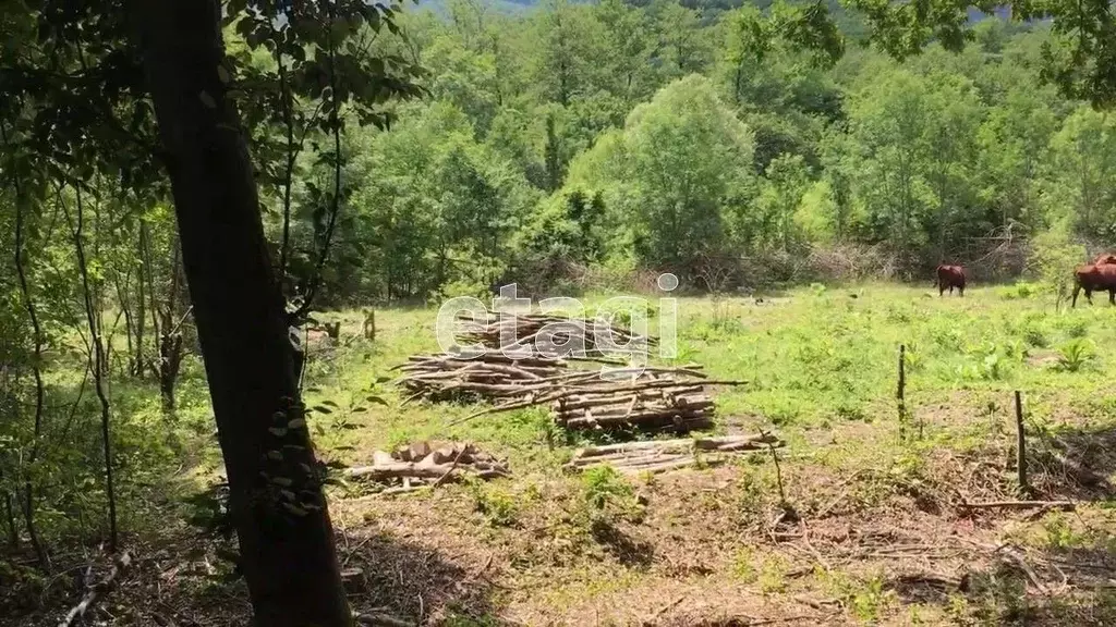 Участок в Краснодарский край, Геленджик городской округ, с. Адербиевка ... - Фото 1