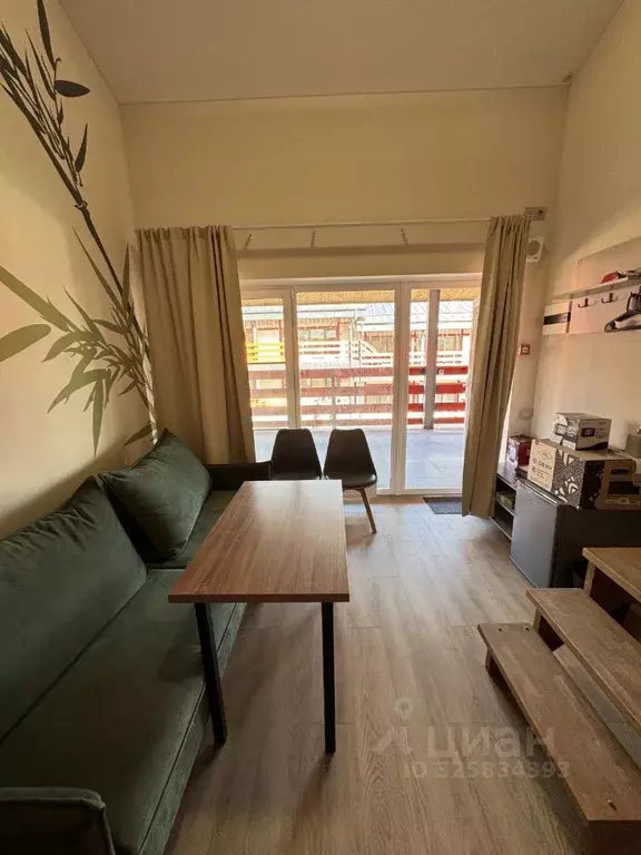 Студия Калужская область, Боровский муниципальный округ, д. Петрово, ... - Фото 1