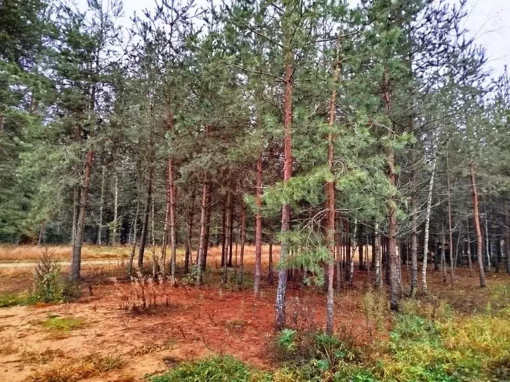 Дом в Владимирская область, Киржачский район, Горкинское муниципальное ... - Фото 2