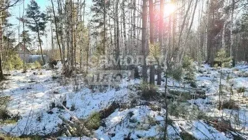 Участок в Московская область, Богородский городской округ, с. Кудиново ... - Фото 0