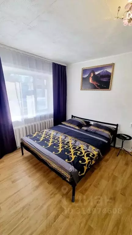1-к кв. Амурская область, Благовещенск ул. Ломоносова, 174 (30.0 м) - Фото 0