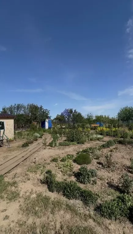Участок в Ростовская область, Волгодонск Виноградный пер. (10.0 сот.) - Фото 1