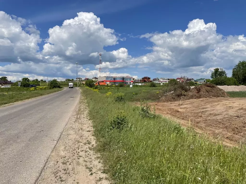 Участок в Нижегородская область, Богородский район, с. Каменки ул. ... - Фото 0