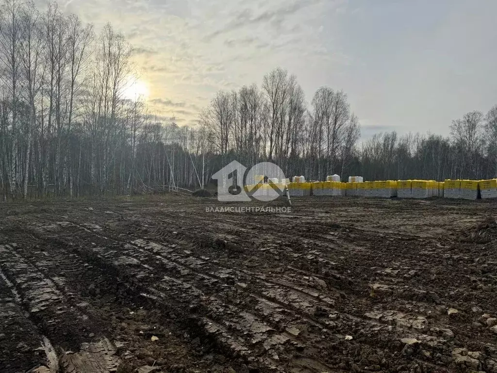 Участок в Новосибирская область, Мошковский район, пос. Октябрьский, ... - Фото 2