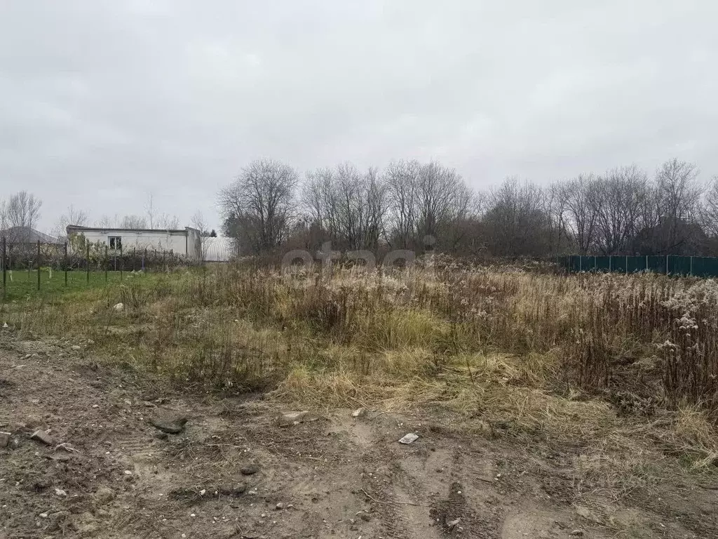 Участок в Калининградская область, Гурьевский муниципальный округ, ... - Фото 1