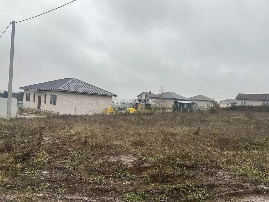 Участок в Владимирская область, Суздальский район, Новоалександровское ... - Фото 2