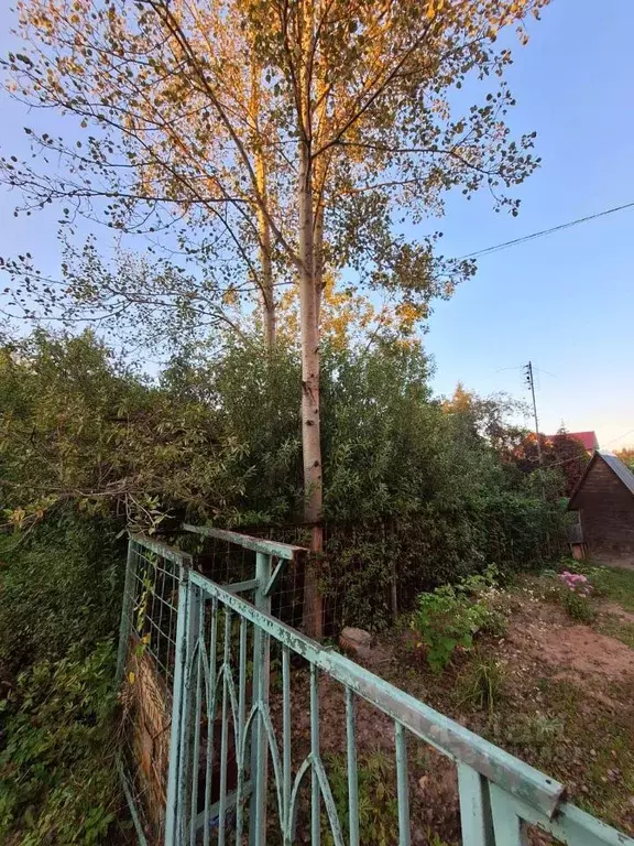 Участок в Москва Богородское-2 СНТ, 34 (5.28 сот.) - Фото 1