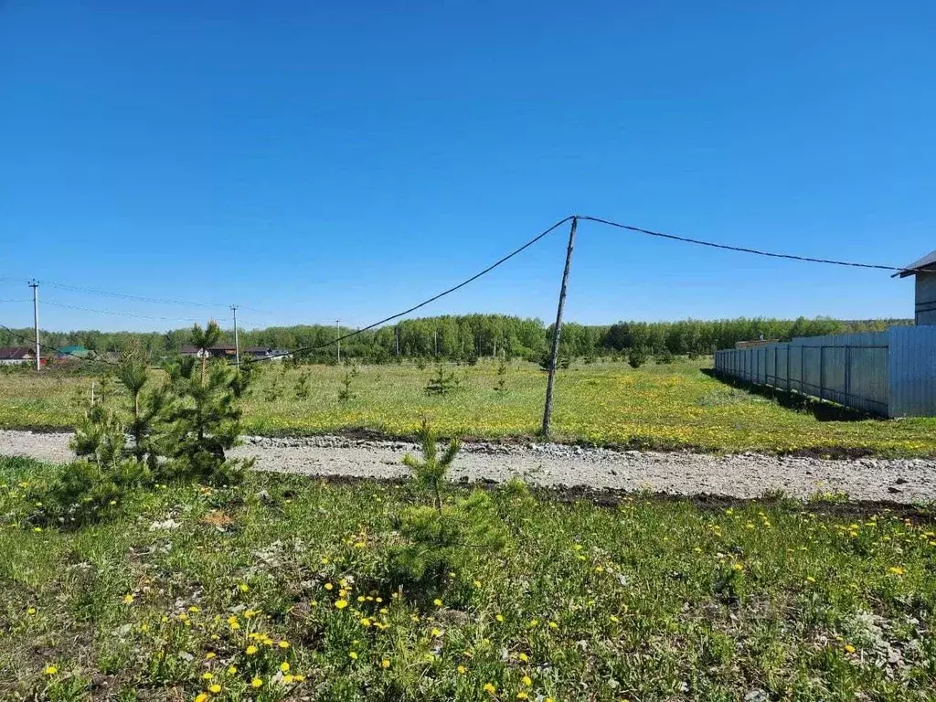 Участок в Свердловская область, Полевской городской округ, с. ... - Фото 1