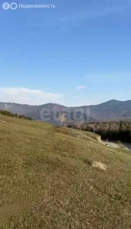 Участок в Усть-Коксинский район, село Тюнгур (1988 м) - Фото 1