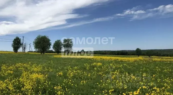 Участок в Ленинградская область, Ломоносовский район, Ропшинское ... - Фото 2