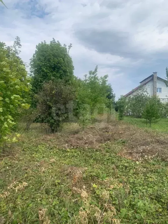 Участок в Воронежская область, Рамонский район, Березовское с/пос, д. ... - Фото 1