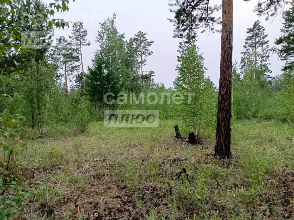 Участок в Забайкальский край, Читинский район, с. Смоленка  (10.0 ... - Фото 0