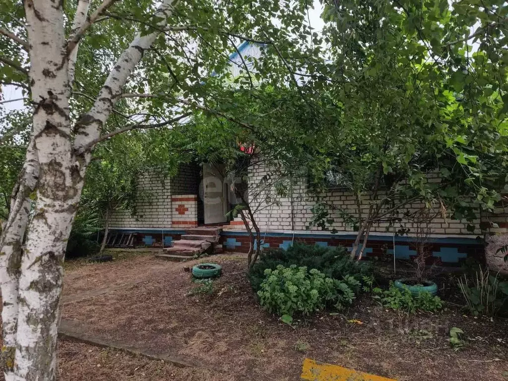 Дом в Воронежская область, Борисоглебский городской округ, с. ... - Фото 1