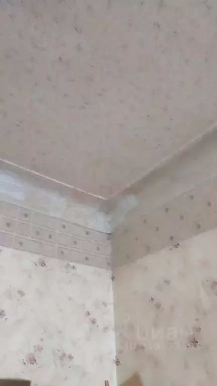 Комната Ростовская область, Новочеркасск Восточная ул. (16.0 м) - Фото 2