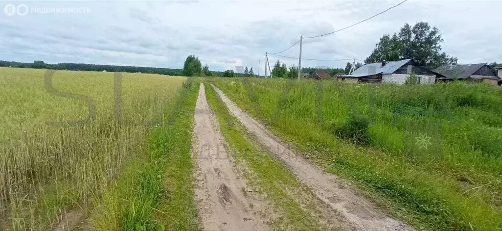 Участок в Костромской район, Шунгенское сельское поселение (7.6 м) - Фото 1
