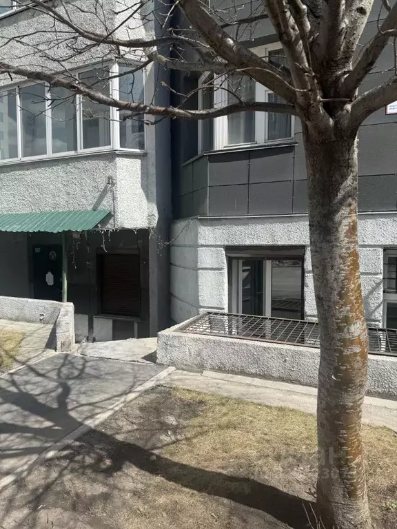 Помещение свободного назначения в Новосибирская область, Новосибирск ... - Фото 1