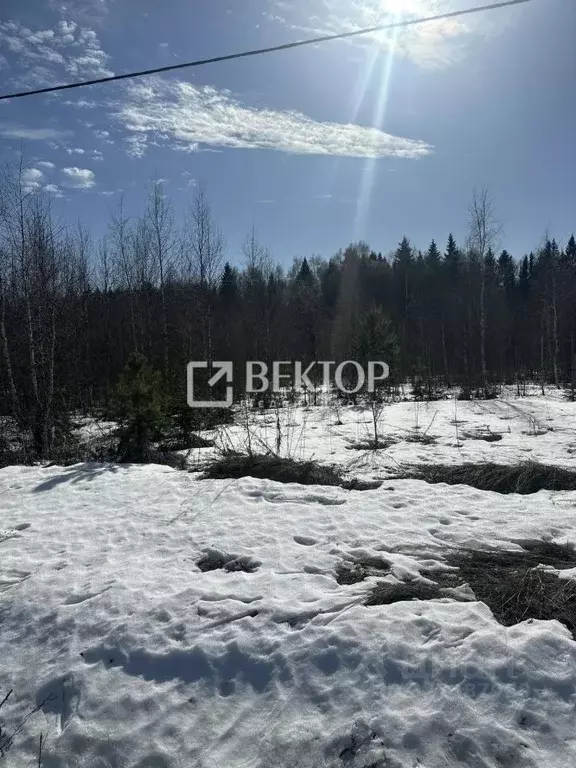 Участок в Костромская область, Костромской район, Бакшеевское с/пос, ... - Фото 2