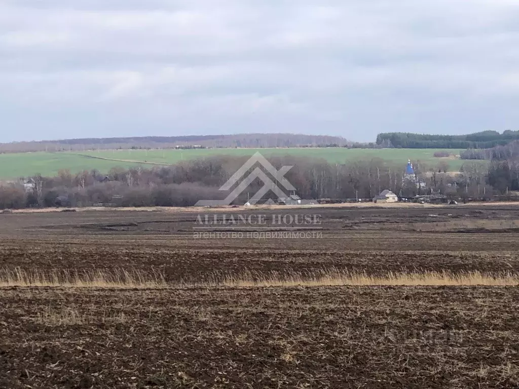 Участок в Татарстан, Лаишевский район, с. Кирби ул. Татарстан (453.0 ... - Фото 0