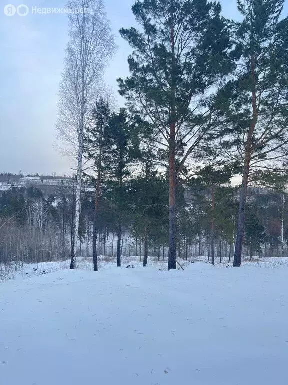 Участок в Иркутский муниципальный округ, деревня Новолисиха, посёлок ... - Фото 1