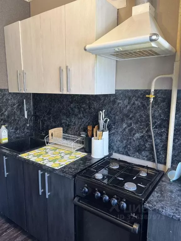 1-к кв. Московская область, Пушкинский городской округ, Правдинский ... - Фото 1