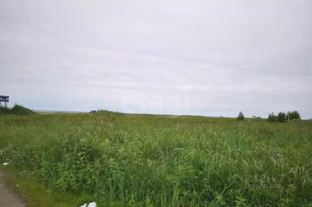 Участок в Сахалинская область, Анивский городской округ, с. Рыбацкое  ... - Фото 1