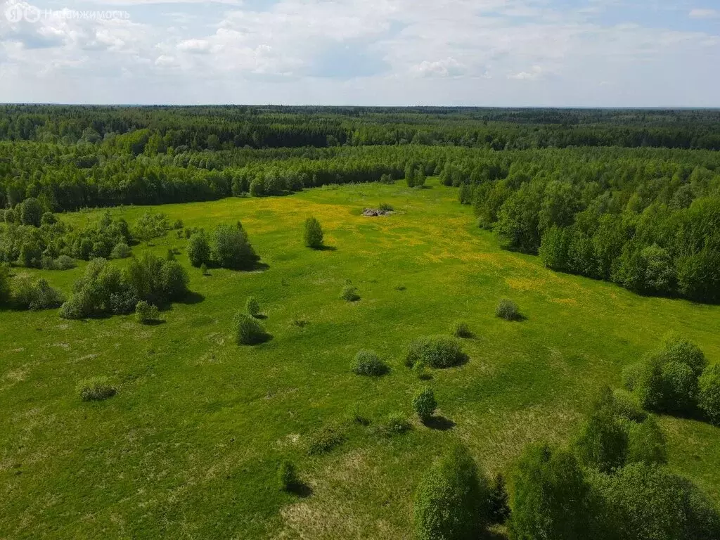 Участок в Сергиево-Посадский городской округ, деревня Филимоново (6.12 ... - Фото 0