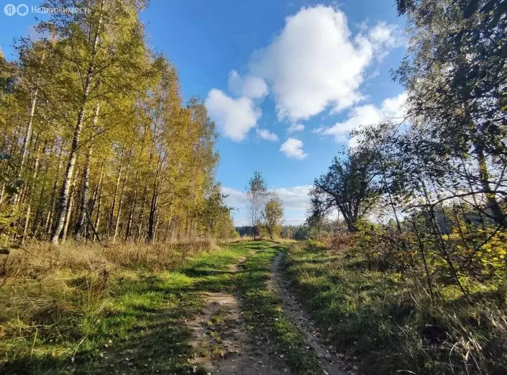 Участок в Приозерский район, посёлок Мичуринское (235 м) - Фото 1