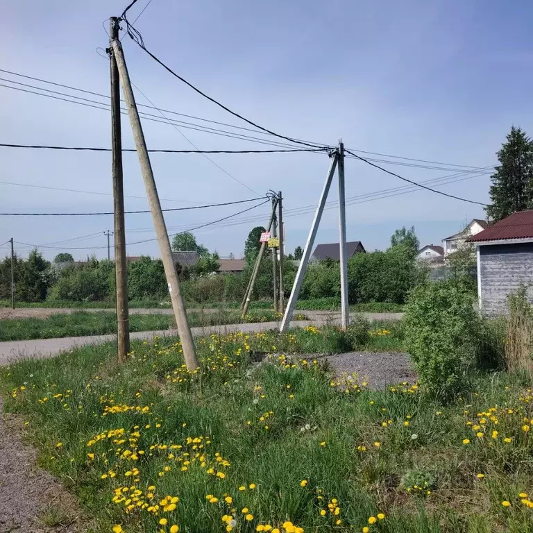 Участок в Ленинградская область, Тосненское городское поселение, д. ... - Фото 2