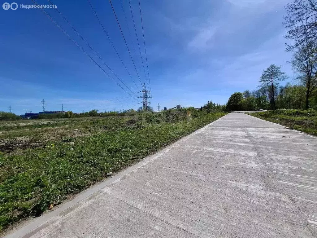 Участок в Калининградская область, Гурьевск (585 м) - Фото 1