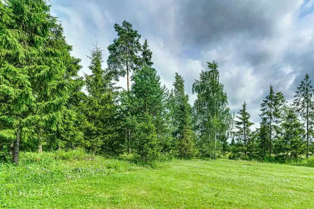Участок в Московская область, Одинцовский городской округ, д. ... - Фото 2