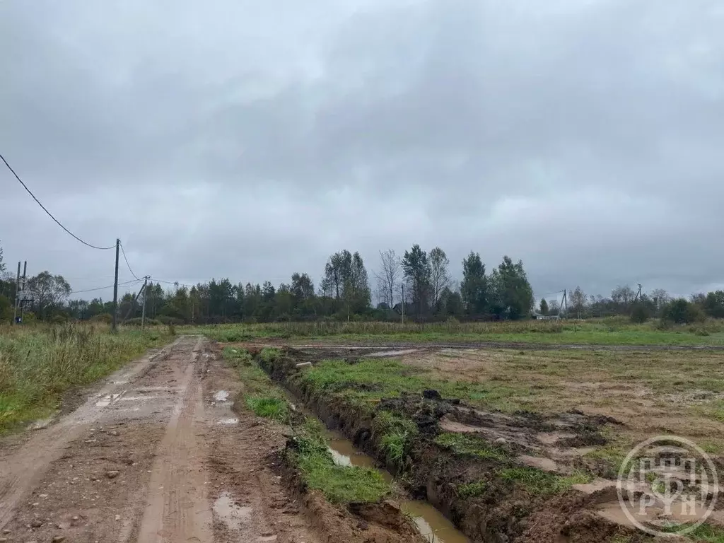 Участок в Ленинградская область, Лужский район, Скребловское с/пос, д. ... - Фото 1