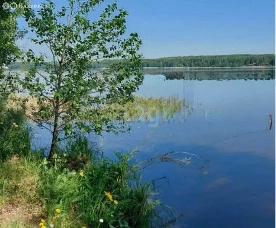 Участок в Костромской район, Чернопенское сельское поселение, село ... - Фото 0