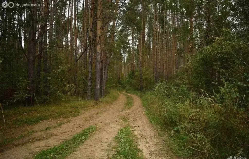 Участок в Краснослободский район, село Сивинь (100 м) - Фото 1