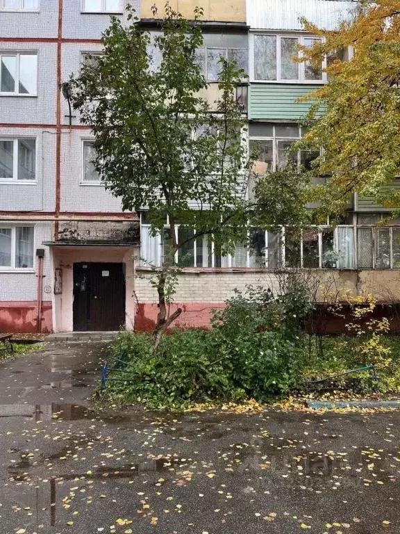 1-к кв. Брянская область, Брянск ул. Металлургов, 43 (31.0 м) - Фото 2