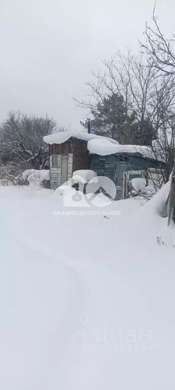 Участок в Новосибирская область, Новосибирск Золотая Горка СНТ, аллея ... - Фото 1