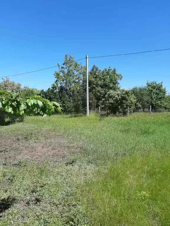 Участок в Белгородская область, Белгородский район, с. Стрелецкое  ... - Фото 1