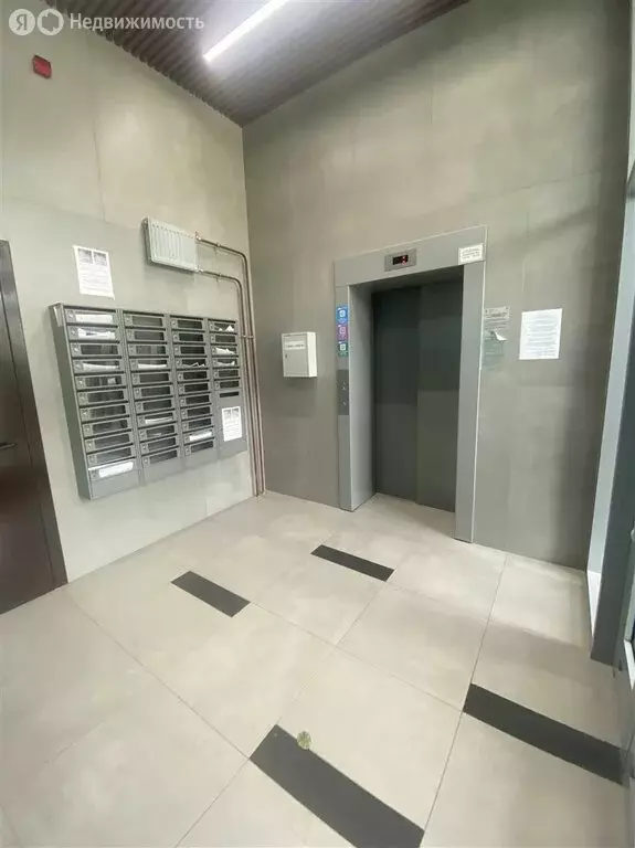 Квартира-студия: Коммунар, Ново-Антропшинская улица, 5к2 (26.4 м) - Фото 1