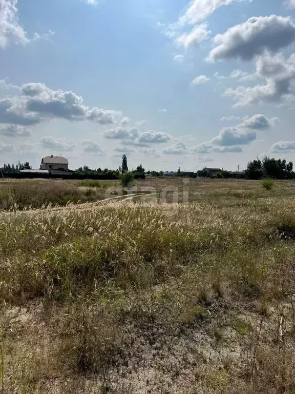 Участок в Воронежская область, Борисоглебский городской округ, с. ... - Фото 1