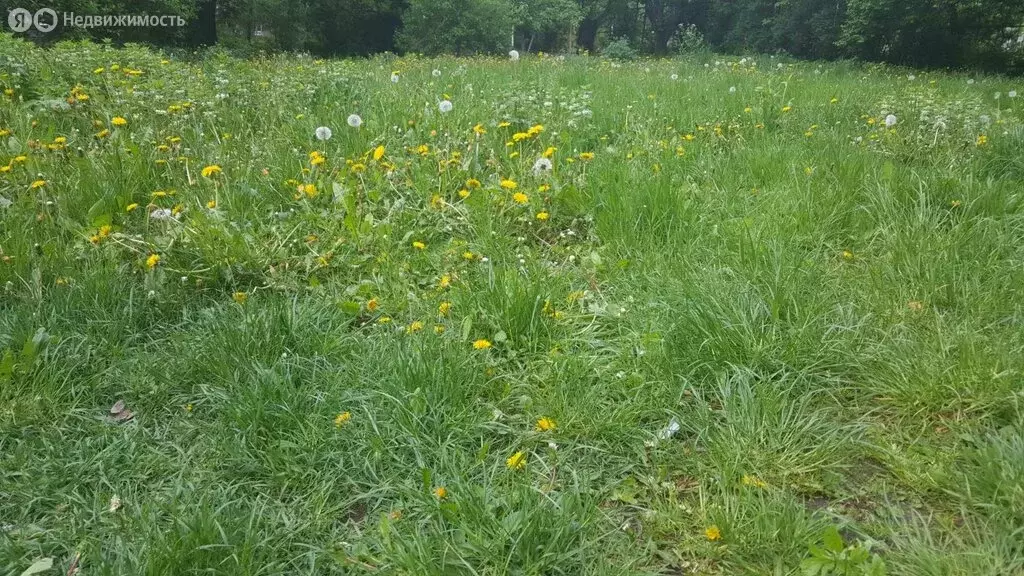 Участок в Калининградская область, Зеленоградский муниципальный округ, ... - Фото 2
