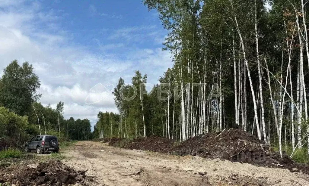 Участок в Тюменская область, Тюменский район, д. Решетникова  (6.01 ... - Фото 0