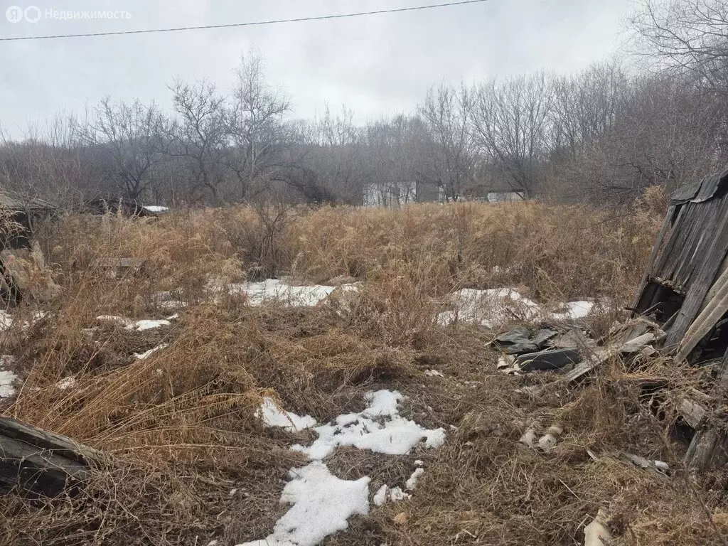 Участок в Партизанск, Берёзовая улица, 38 (12 м) - Фото 1