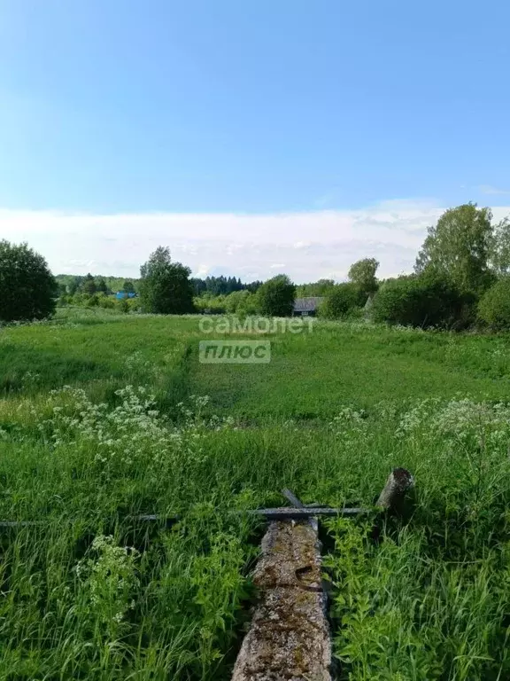 Участок в Вологодская область, Кирилловский муниципальный округ, д. ... - Фото 1