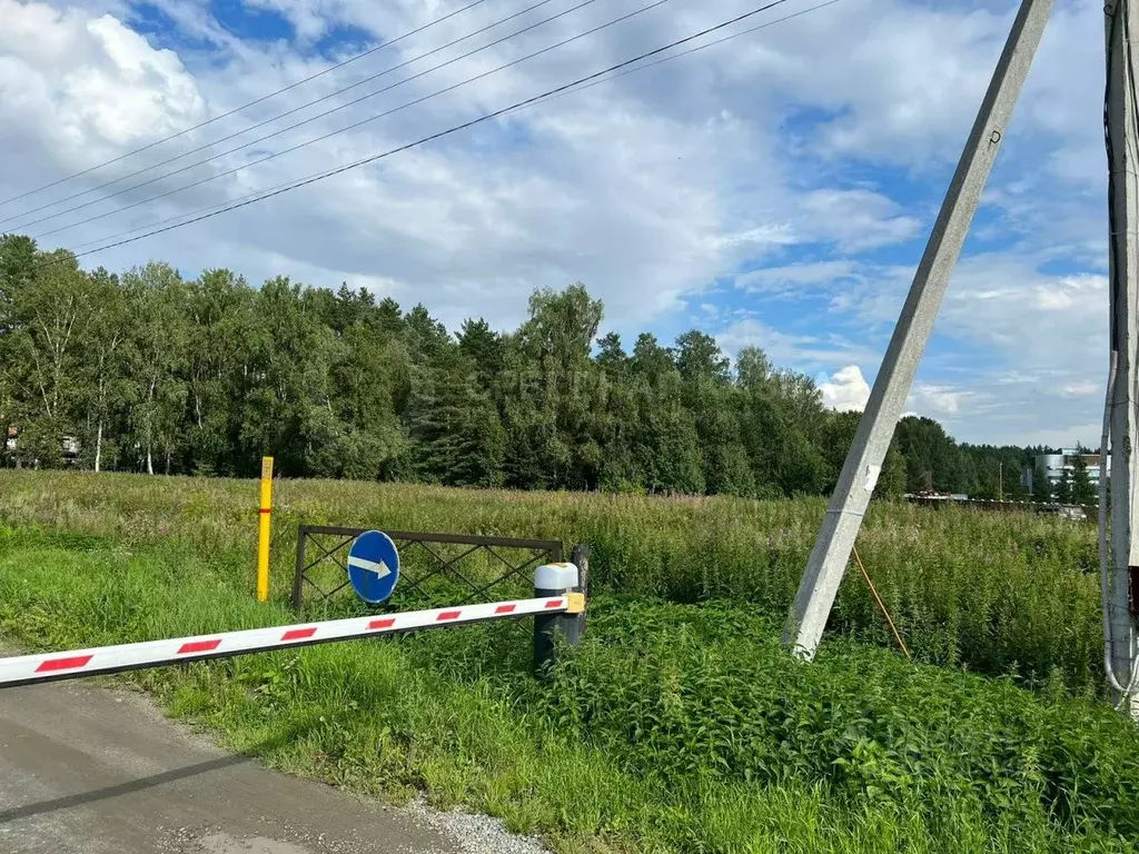 Участок в Свердловская область, Белоярский муниципальный округ, пос. ... - Фото 0
