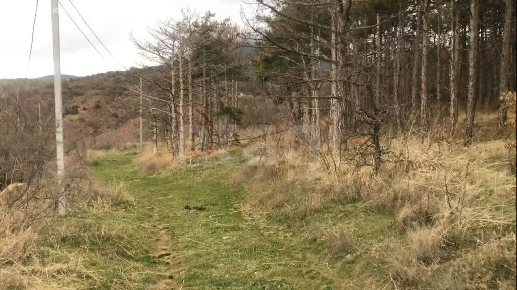 Участок в Семидворье, микрорайон Надежда (12 м) - Фото 2