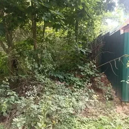 Участок в Московская область, Луховицы муниципальный округ, д. Озерицы ... - Фото 1