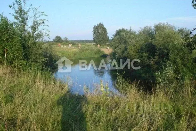 Участок в Владимирская область, Судогодский район, Муромцевское ... - Фото 1