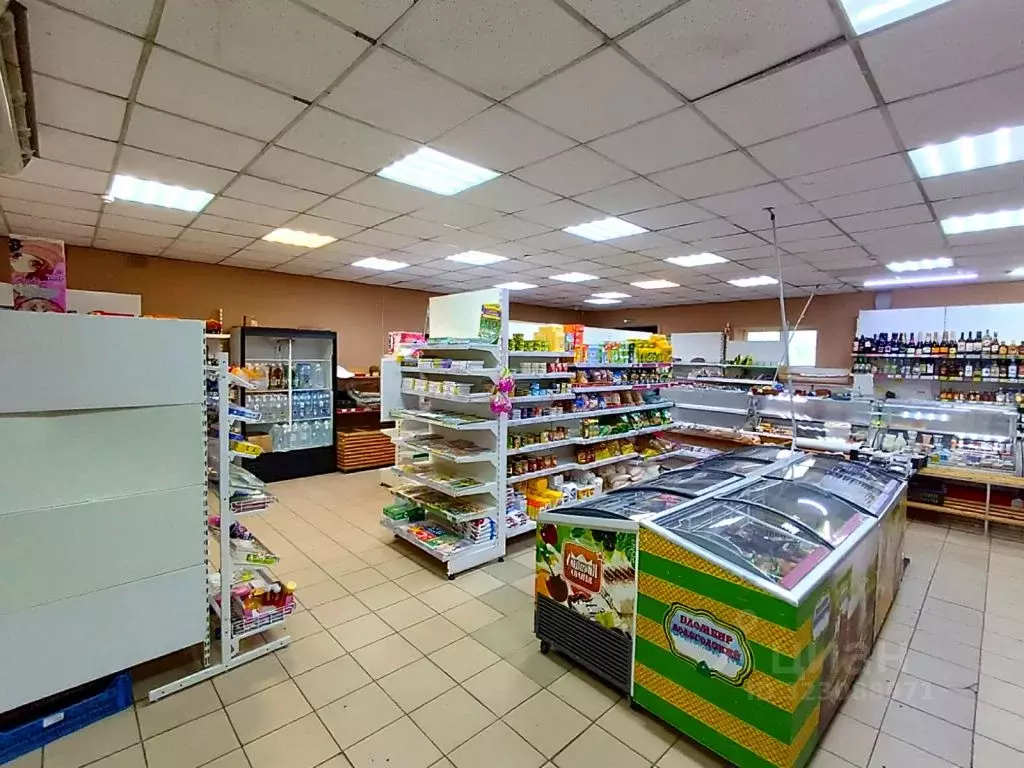 Помещение свободного назначения в Пензенская область, Пензенский ... - Фото 1