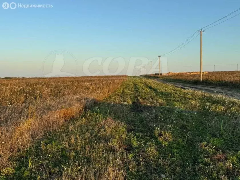 Участок в Тюменская область, село Ярково (13.5 м) - Фото 1