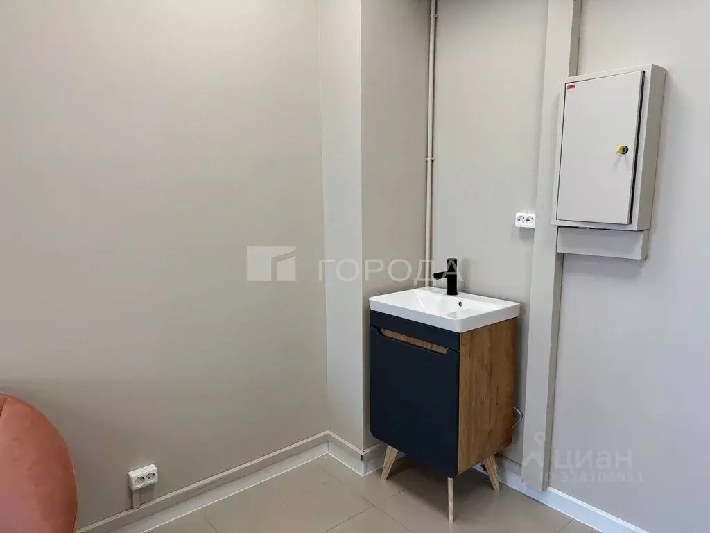 Офис в Новосибирская область, Новосибирск ул. Фрунзе, 96 (18 м) - Фото 0